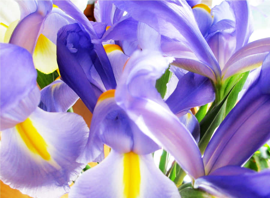 Picture-perfect Fantasy With A Phone Wallpaper