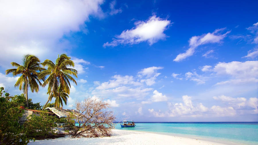 Picturesque View Of Jamaica Island In The Caribbean Wallpaper