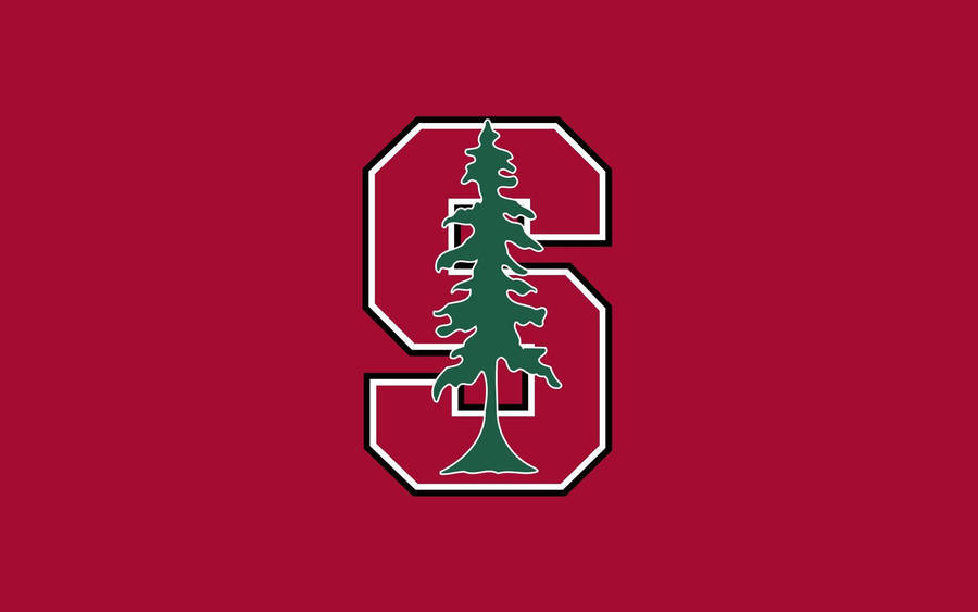 Pine Tree On Stanford University Logo Wallpaper