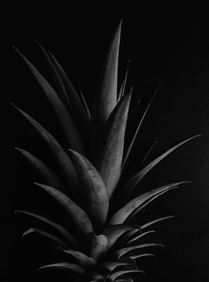 Pineapple Crown In Black Wallpaper