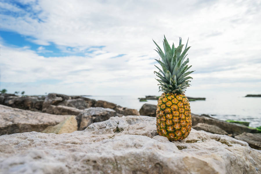 Pineapple On Rocky Beach Wallpaper