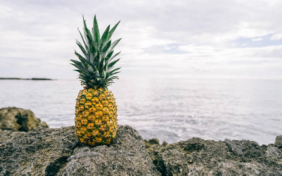 Pineapple On Rocky Shore Wallpaper