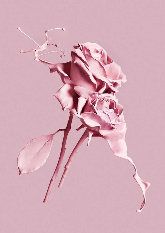 Pink 3d Rose Spring Iphone Wallpaper