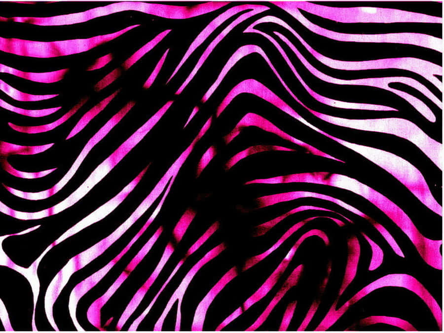 Pink And Black Zebra Print Wallpaper