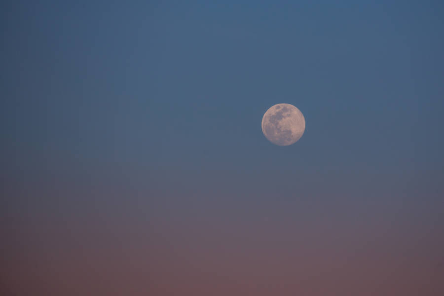 Pink And Blue Sky Beautiful Full Moon Wallpaper