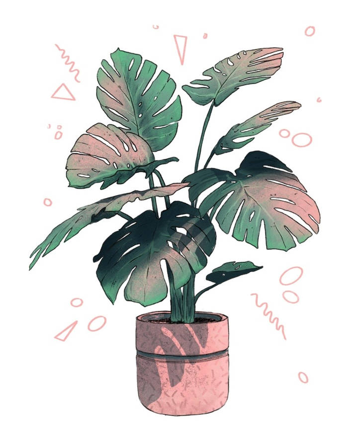 Pink And Green Monstera Art Wallpaper