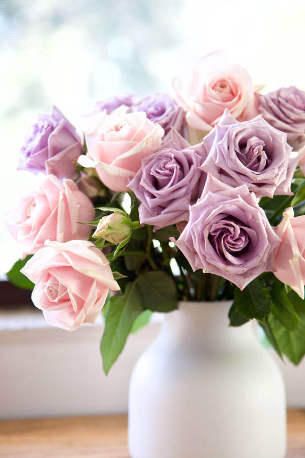 Pink And Purple Roses In White Vase Wallpaper