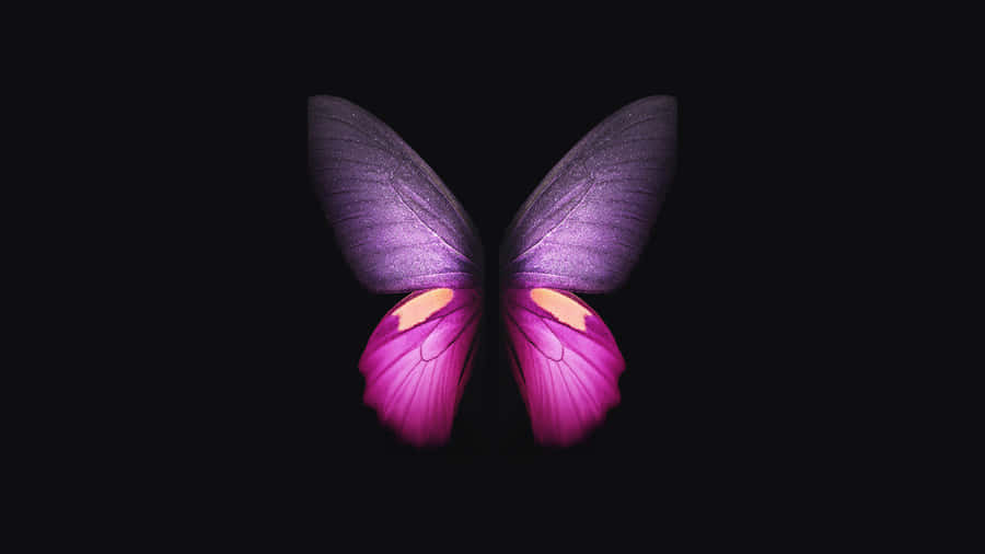 Pink Black Minimalist Butterfly Wallpaper