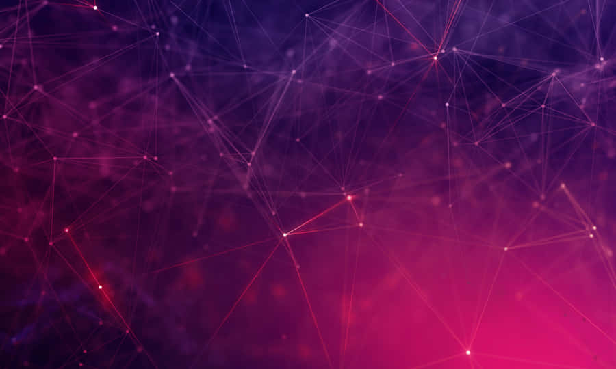 Pink Black Plain Lights Wallpaper