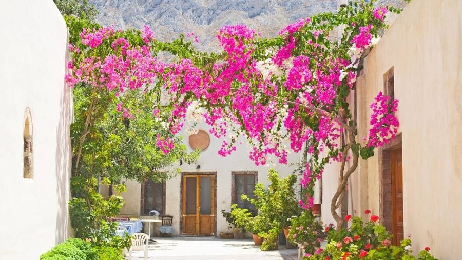 Pink Bougainvillea Balcony Wallpaper