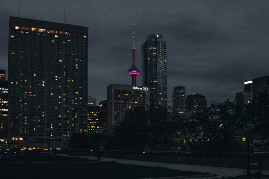 Pink Cn Tower Wallpaper