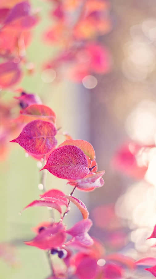 Pink Enchantment: A Dazzling Cute Girly Phone Amidst Blushing Pink Leaves Wallpaper