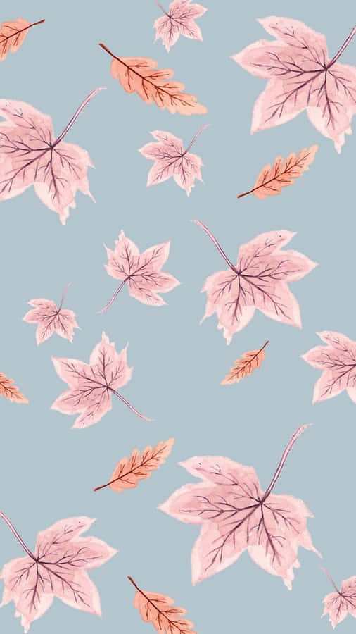 Pink Fall Wallpaper Leaves Wallpaper