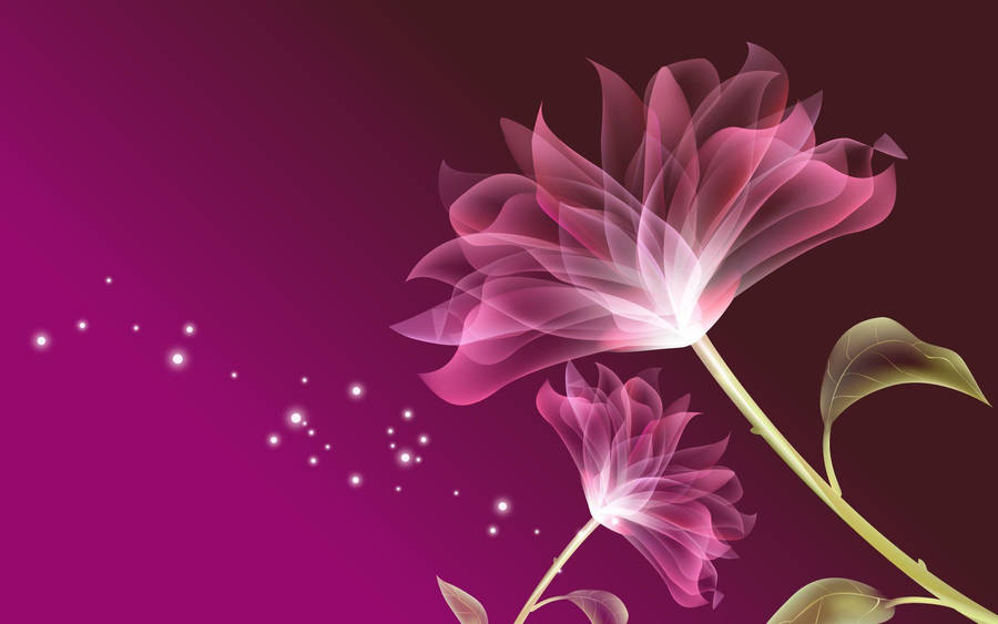 Pink Flower Illustrated Wallpaper