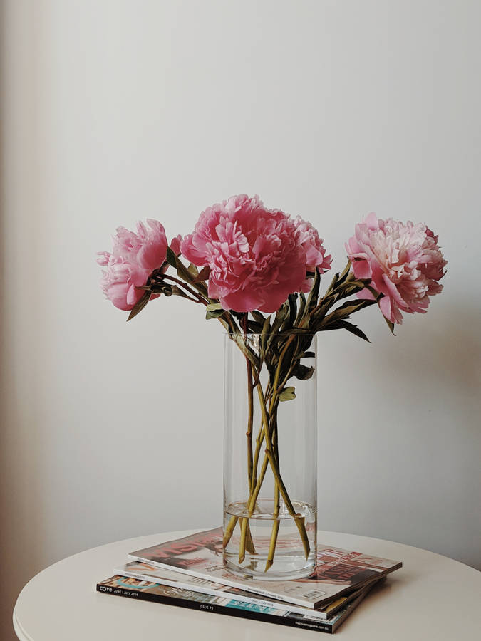 Pink Flowers Aesthetic In Glass Vase Wallpaper