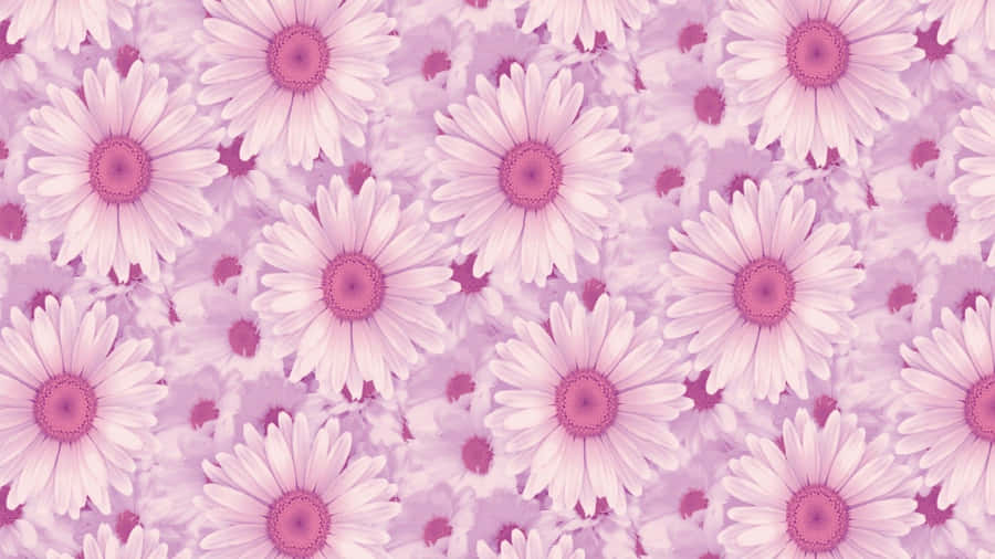 Pink Flowers Aesthetic Tumblr Wallpaper