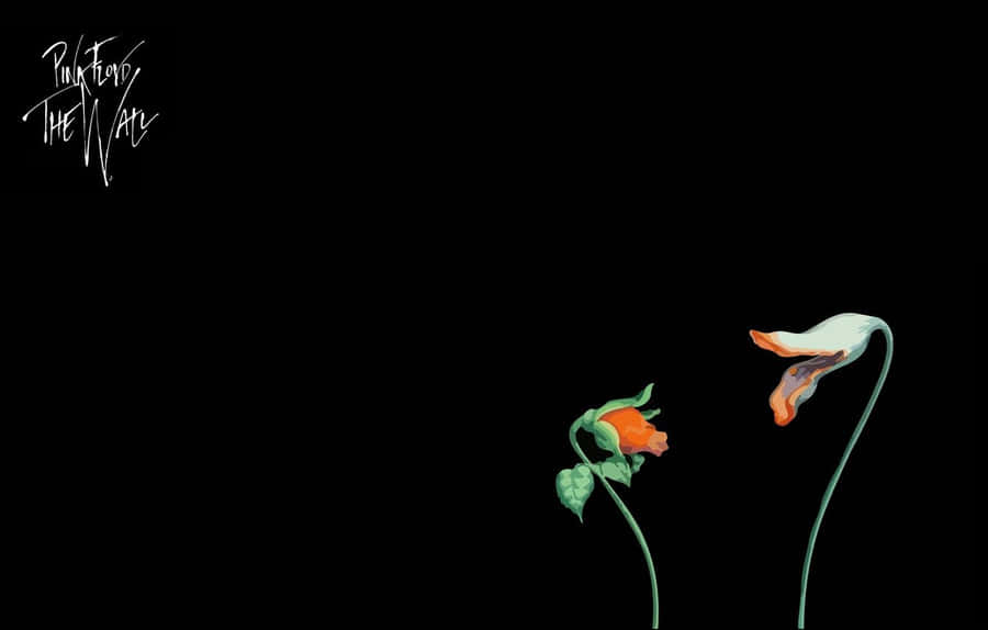 Pink Floyd The Wall Dark Flowers Wallpaper