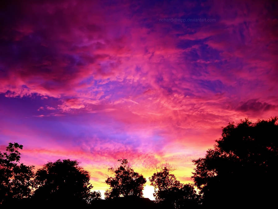 Pink Purple Sunset Skies Wallpaper