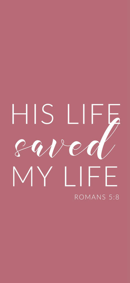 Pink Romans Bible Verse Wallpaper