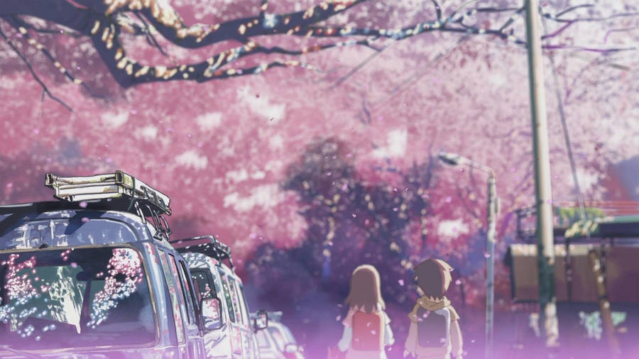 Pink Sakura Aesthetic Anime Laptop Wallpaper