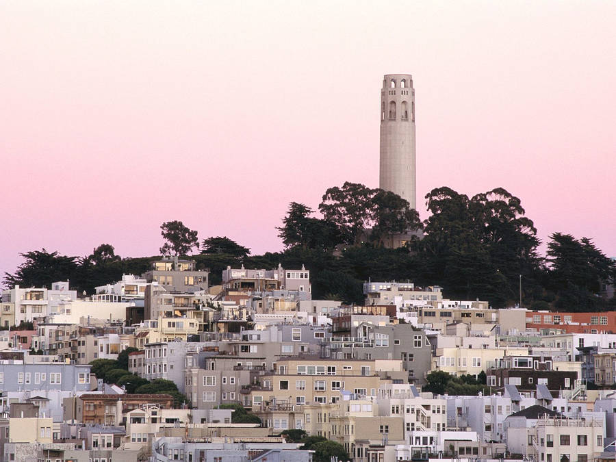 Pink Sky Over Coit Tower Wallpaper