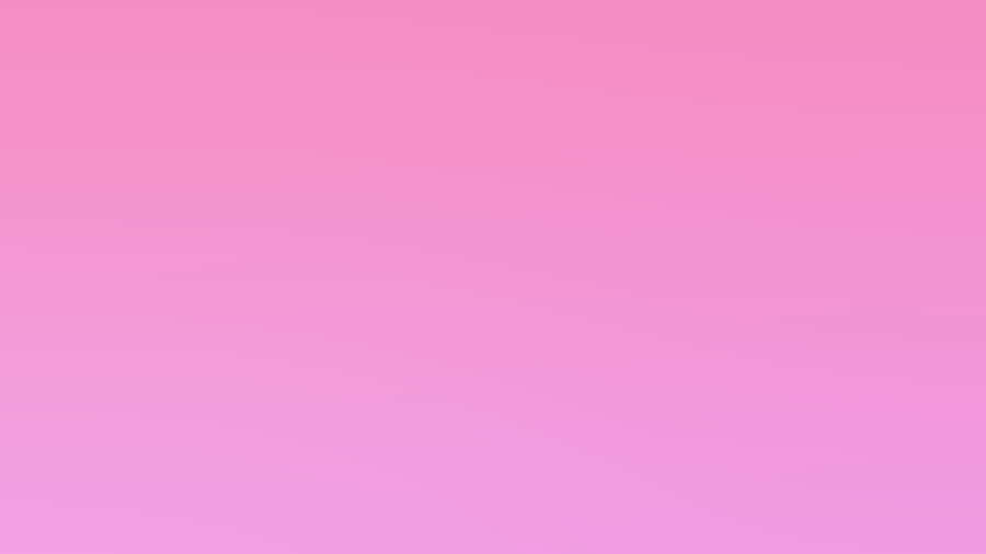 Pink Solid Color Flamingo Wallpaper