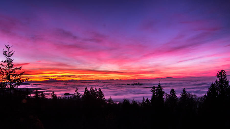 Pink Sunset Cloud Sea Wallpaper