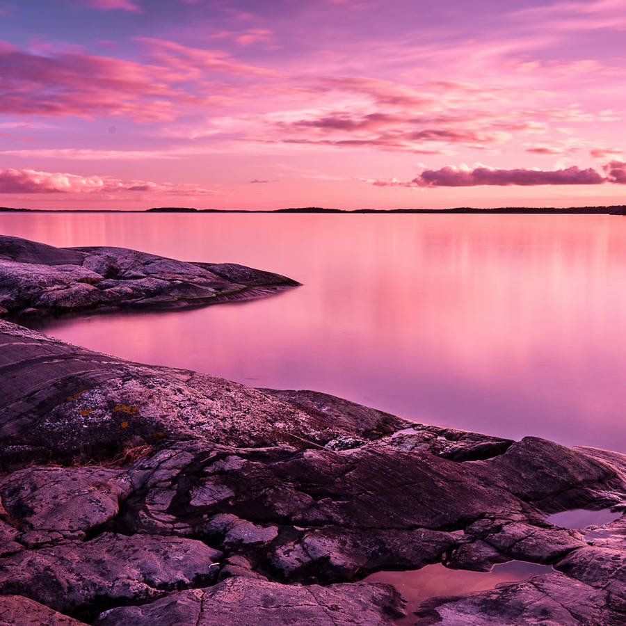 Pink Sunset Rocky Shore Wallpaper