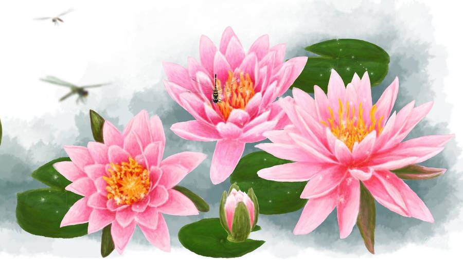 Pink Water Lilies Artwork Wallpaper