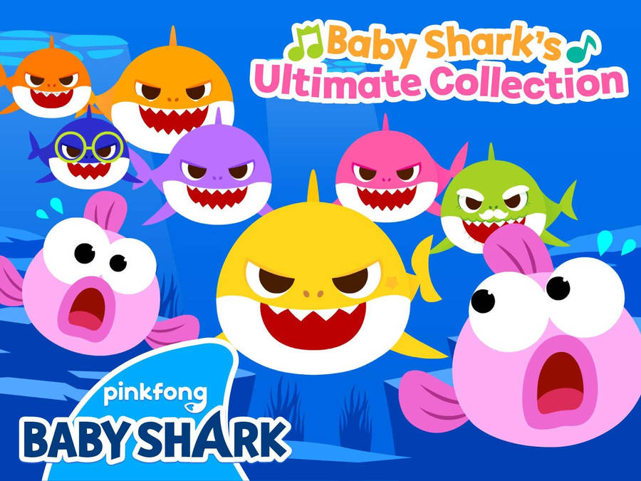 Pinkfong Baby Shark Ultimate Collection Wallpaper