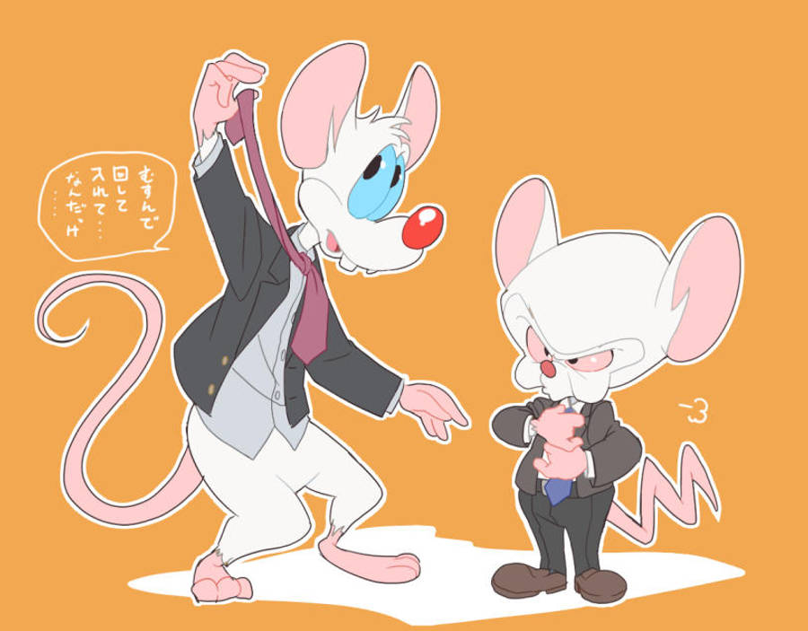 Pinky And The Brain Orange Background Wallpaper