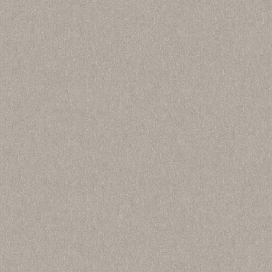 Plain Beige 1000 X 1000 Wallpaper