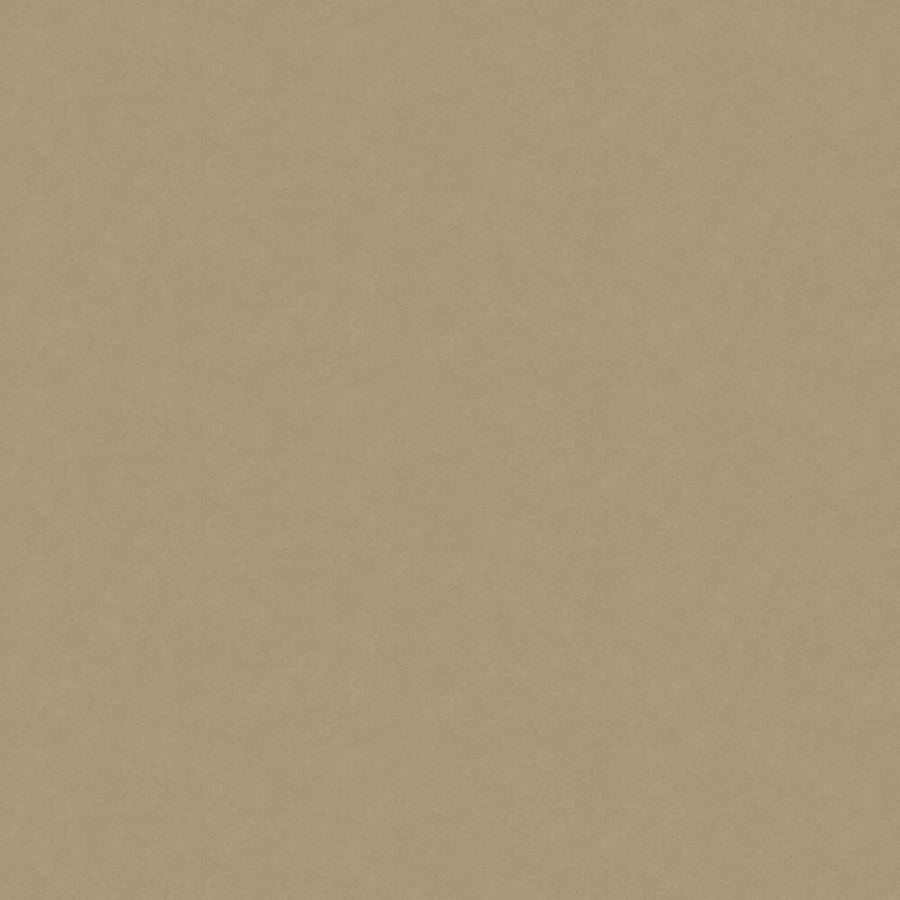 Plain Beige 1000 X 1000 Wallpaper