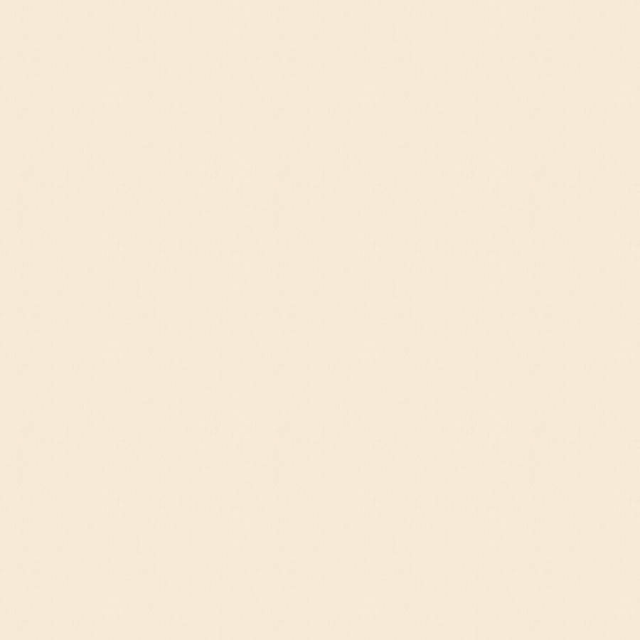 Plain Beige 1000 X 1000 Wallpaper