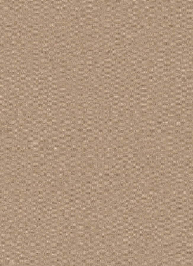 Plain Beige 1159 X 1600 Wallpaper