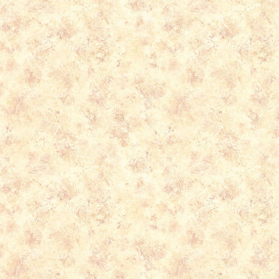 Plain Beige 1200 X 1200 Wallpaper