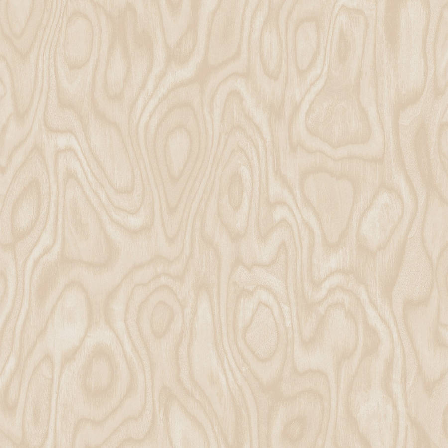 Plain Beige 1500 X 1500 Wallpaper