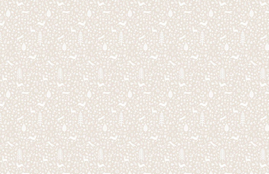 Plain Beige 1650 X 1070 Wallpaper