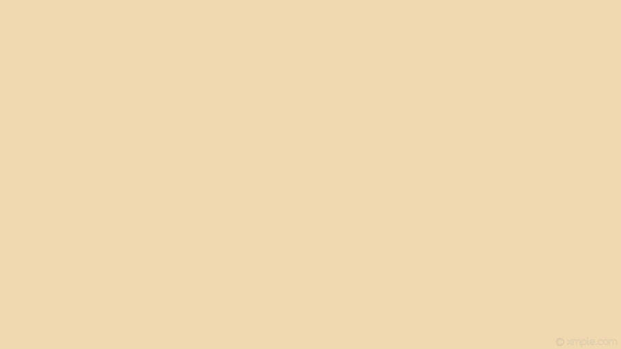 Plain Beige 1920 X 1080 Wallpaper