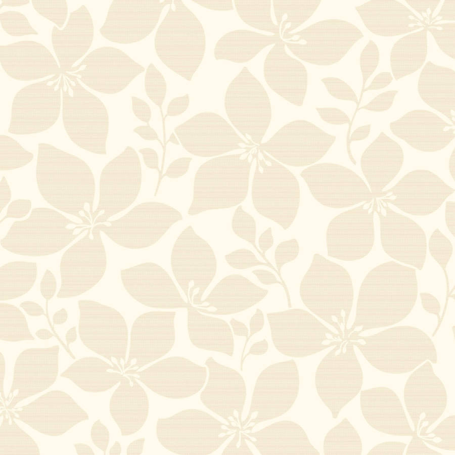 Plain Beige 2000 X 2000 Wallpaper