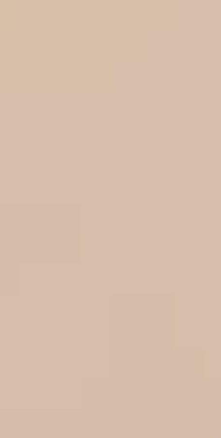 Plain Beige 564 X 1115 Wallpaper