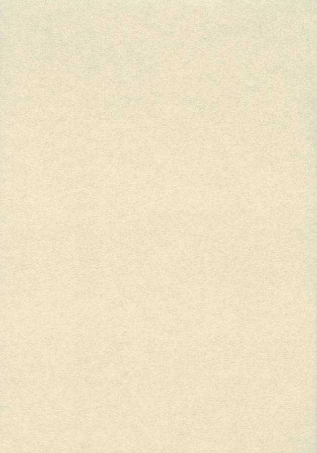 Plain Beige 840 X 1200 Wallpaper