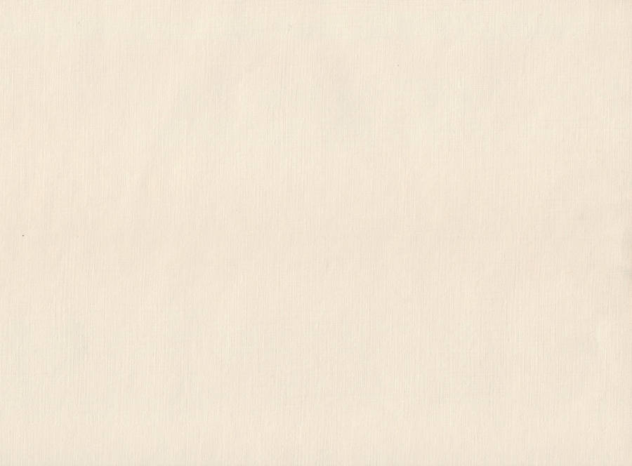 Plain Beige Paper Wallpaper