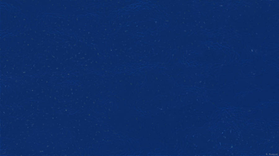 Plain Dark Blue Pattern Wallpaper