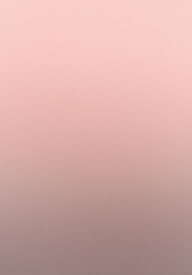 Plain Gradient Rose Gold Wallpaper