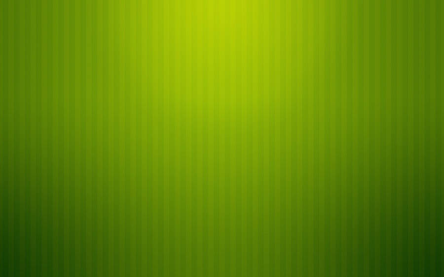 Plain Green Vertical Lines Wallpaper