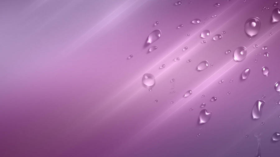 Plain Lavender Gradient Water Drops Wallpaper