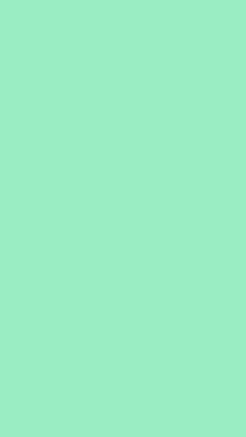 Plain Mint Green Wallpaper