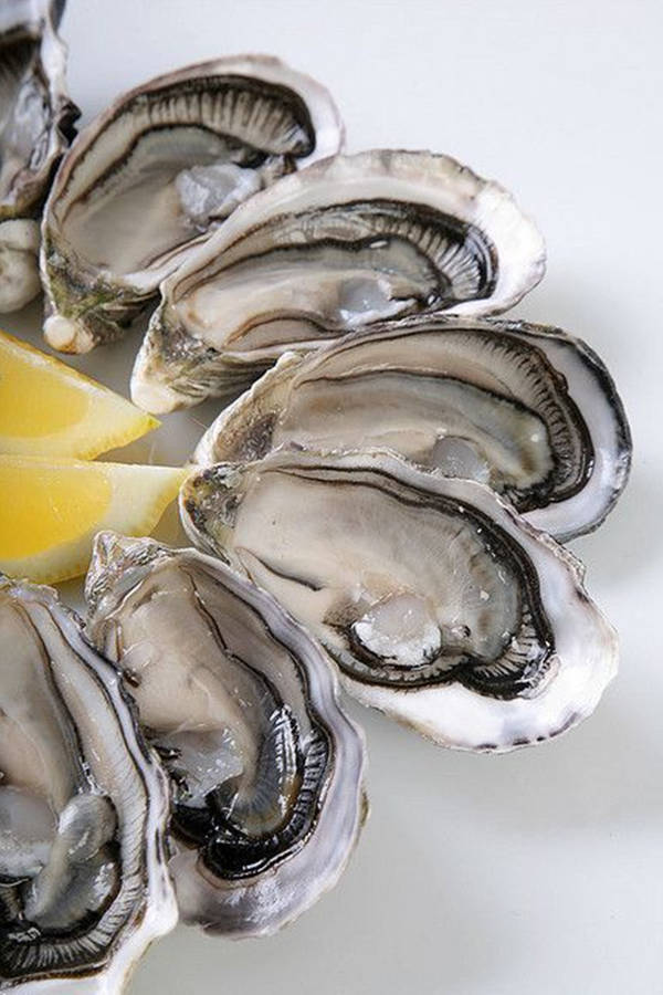 Plain Oyster Dish With Lemon Wallpaper