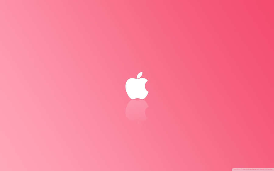 Plain Pink Desktop Background Wallpaper